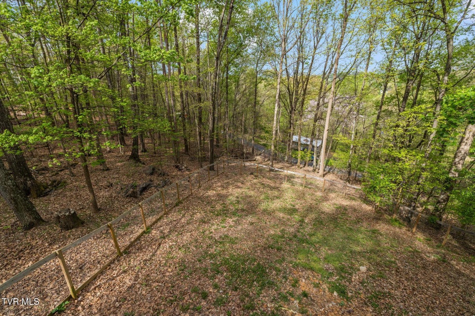 Photo #26: 704 Stuffle Street