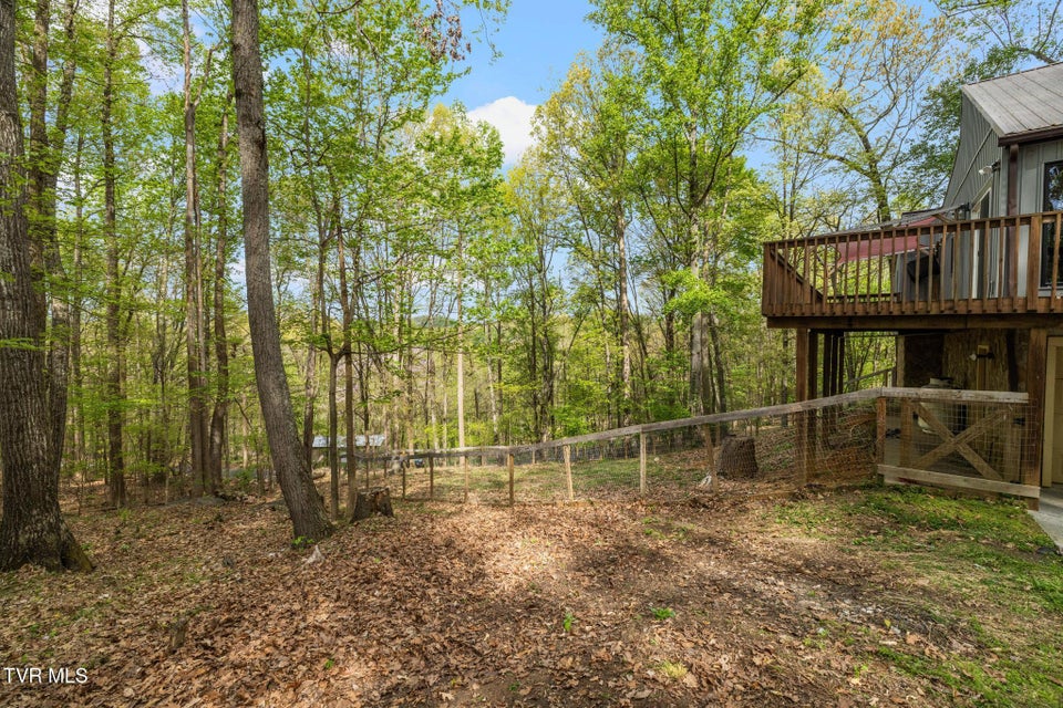 Photo #29: 704 Stuffle Street