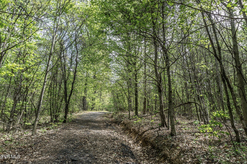 Photo #17: 151/197 John Hilbert Road