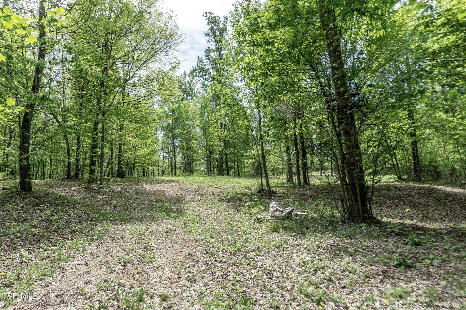 Photo #23: 151/197 John Hilbert Road