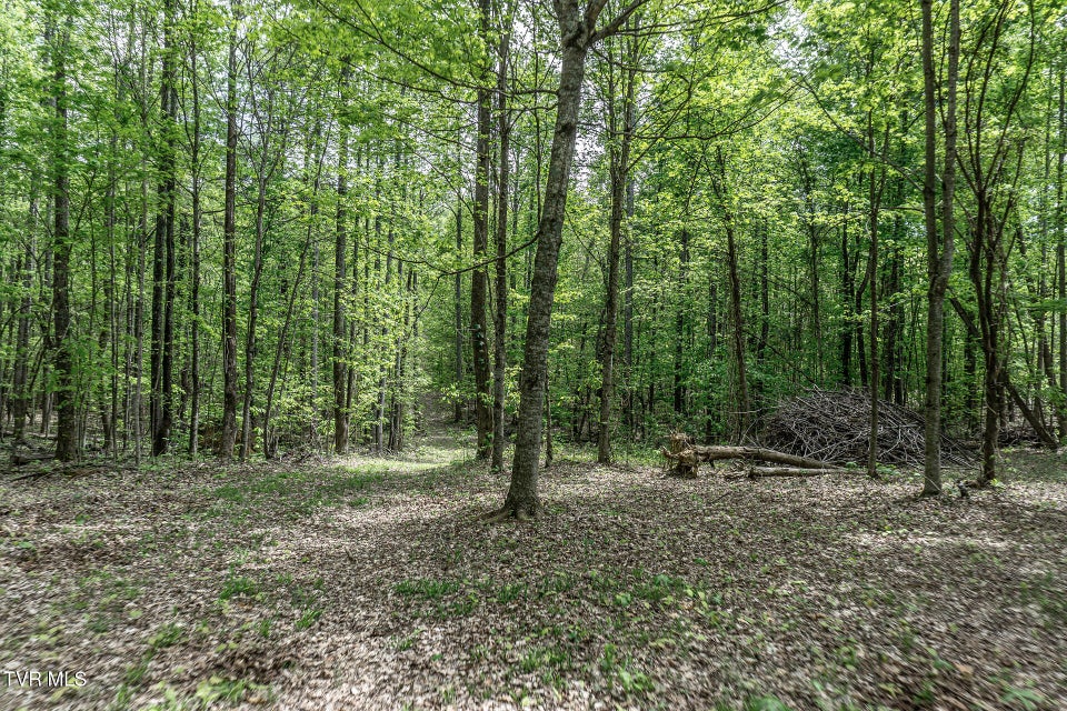 Photo #25: 151/197 John Hilbert Road