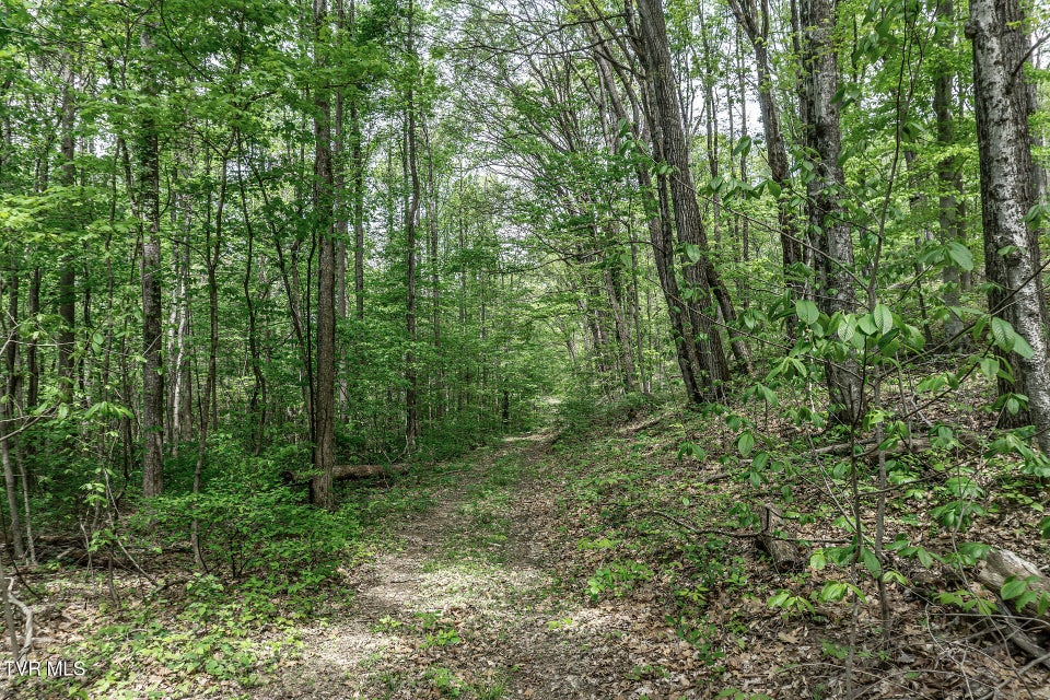 Photo #27: 151/197 John Hilbert Road