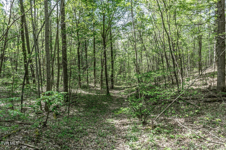 Photo #28: 151/197 John Hilbert Road