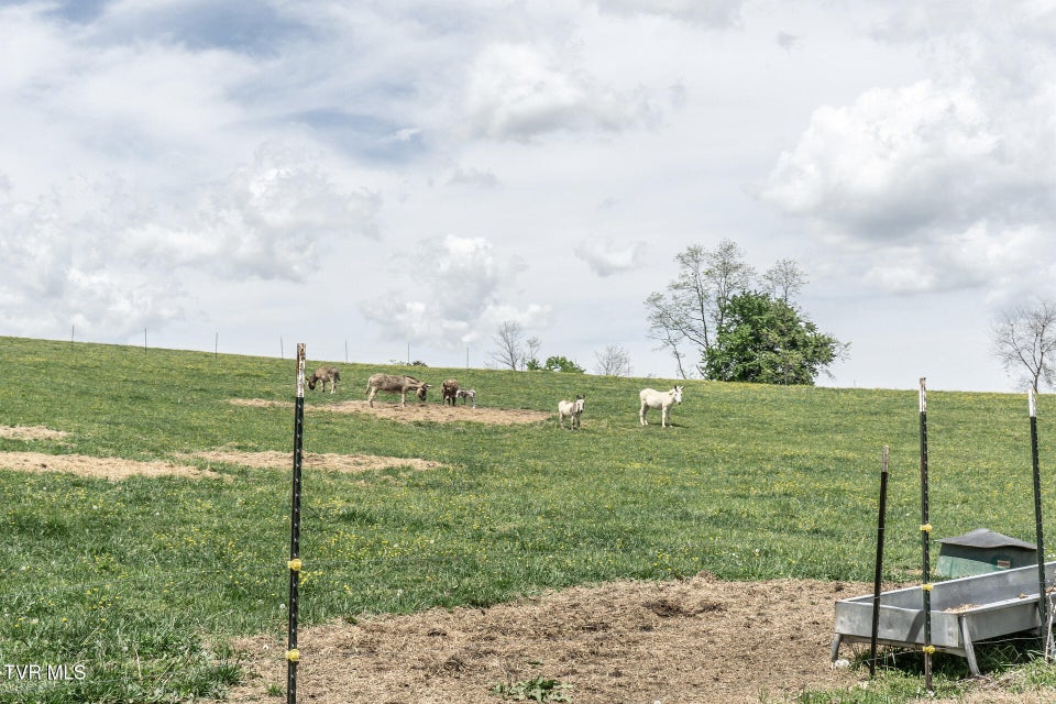 Photo #39: 151/197 John Hilbert Road