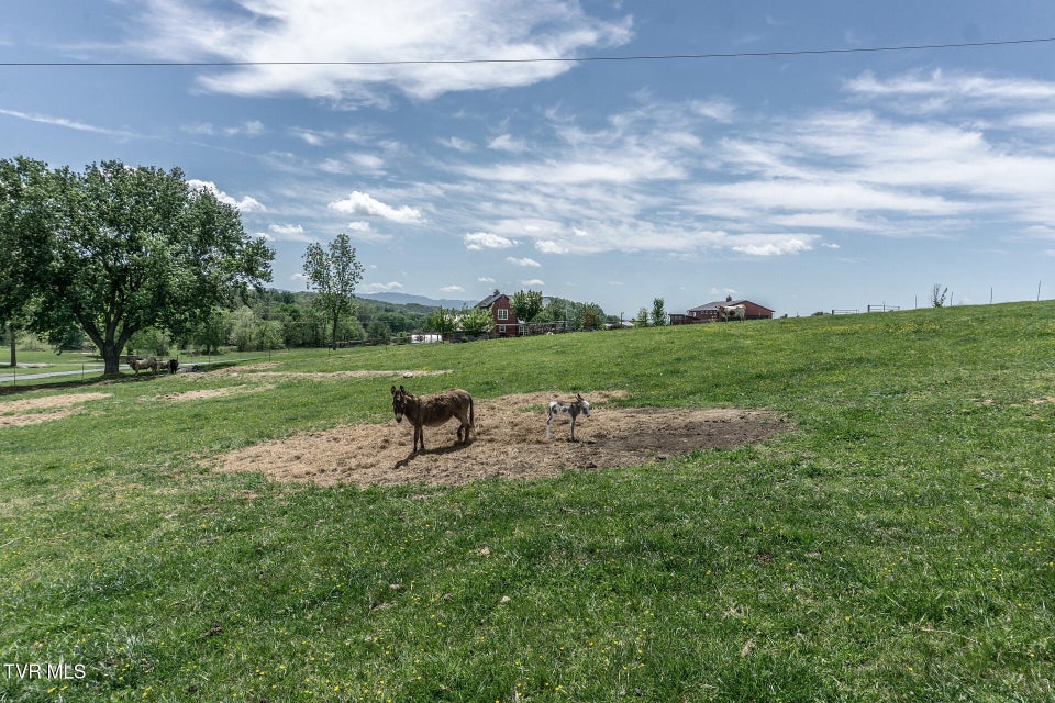 Photo #40: 151/197 John Hilbert Road