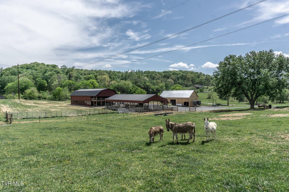 Photo #41: 151/197 John Hilbert Road