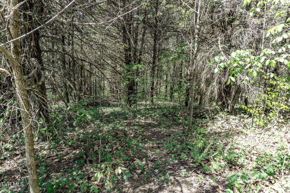 Photo #44: 151/197 John Hilbert Road