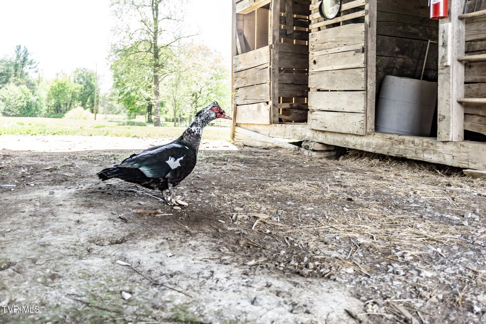 Photo #48: 151/197 John Hilbert Road