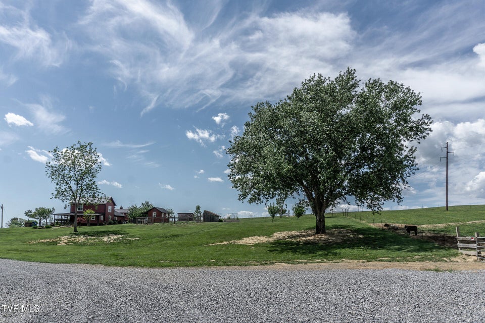 Photo #49: 151/197 John Hilbert Road