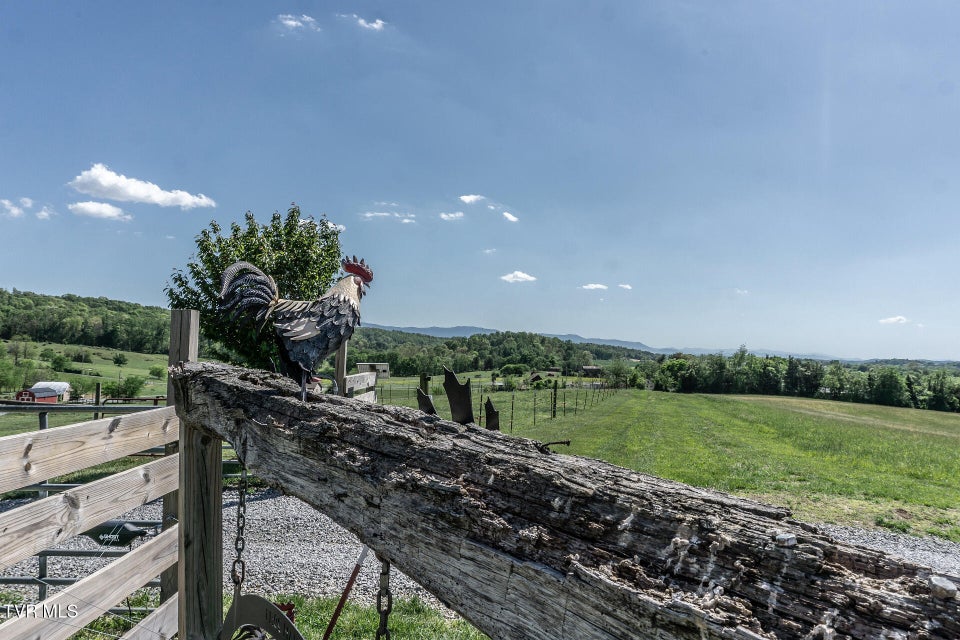 Photo #56: 151/197 John Hilbert Road