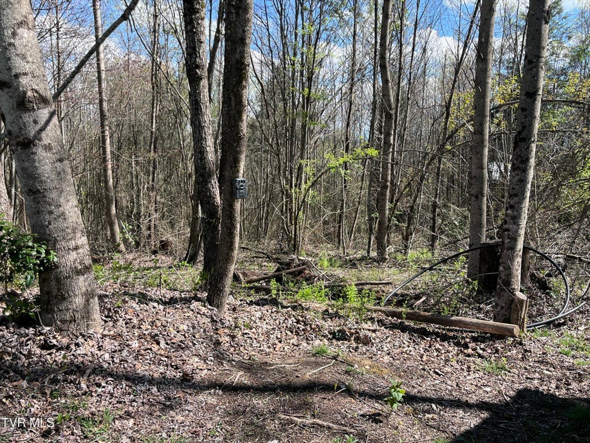 Photo #44: Tbd Deer Track Drive