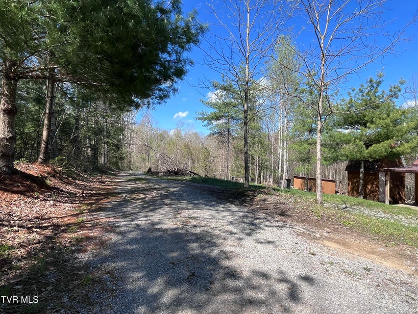 Photo #45: Tbd Deer Track Drive