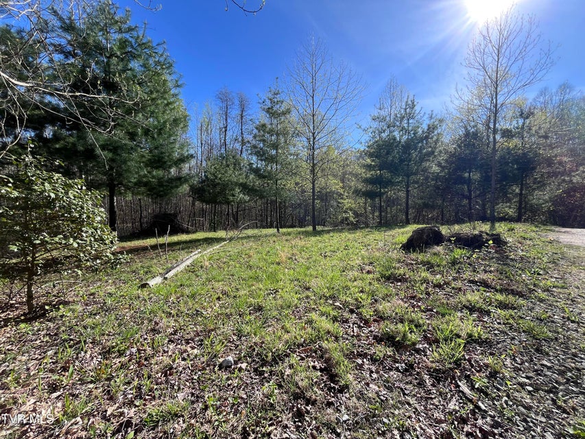 Photo #46: Tbd Deer Track Drive