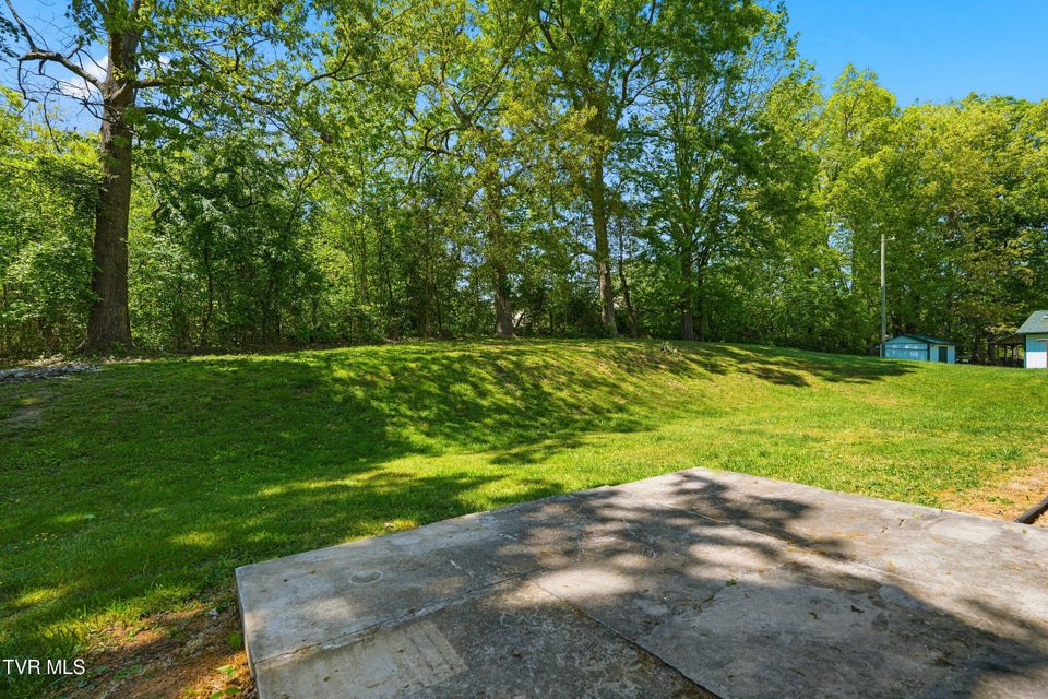 Photo #28: 228 Catawba Street