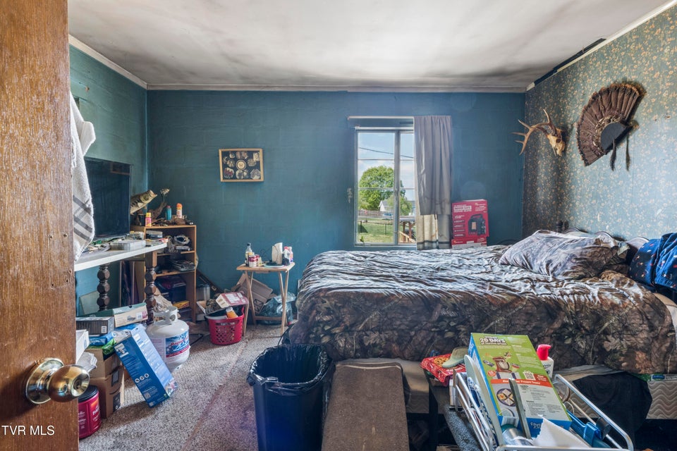 Photo #13: 3425 Bloomingdale Road