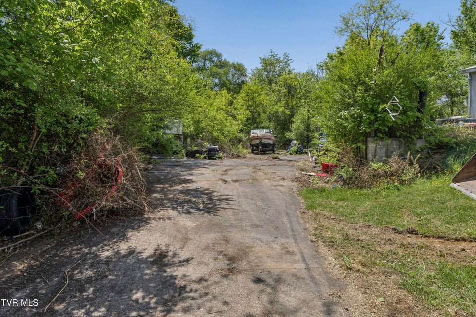 Photo #19: 3425 Bloomingdale Road