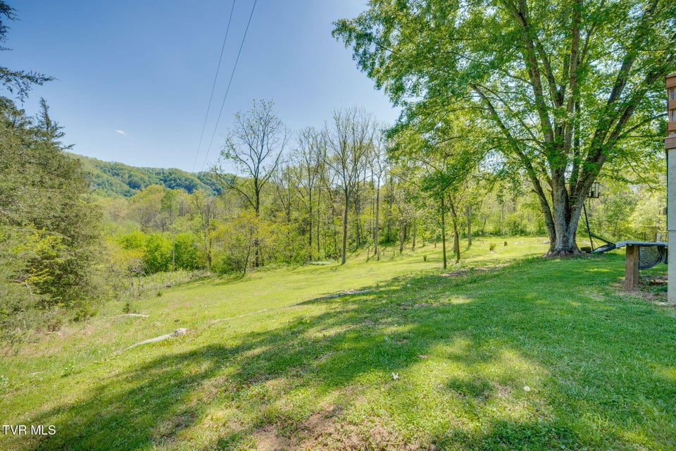 Photo #29: 111 Clinch Valley Road