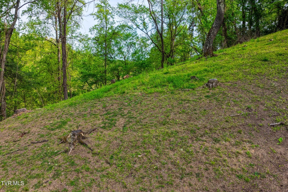 Photo #16: 820 Sherbrooke Circle