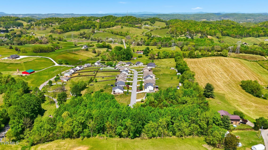 Photo #7: 2445 Poplar Ridge Court