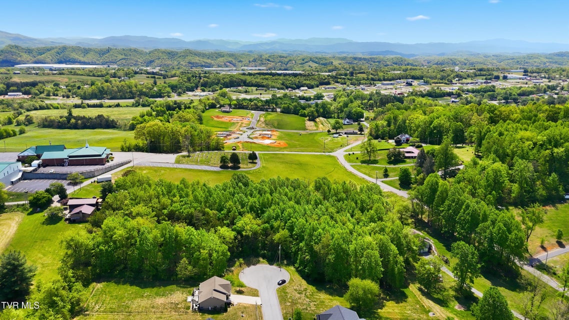 Photo #3: 2445 Poplar Ridge Court