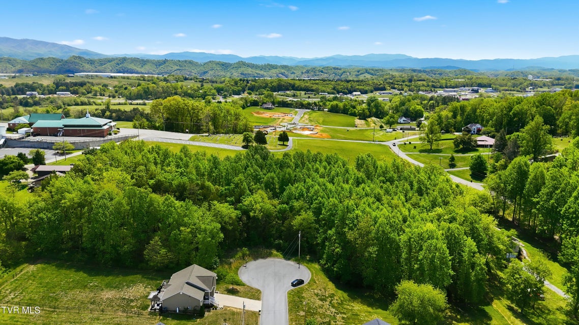 Photo #4: 2445 Poplar Ridge Court