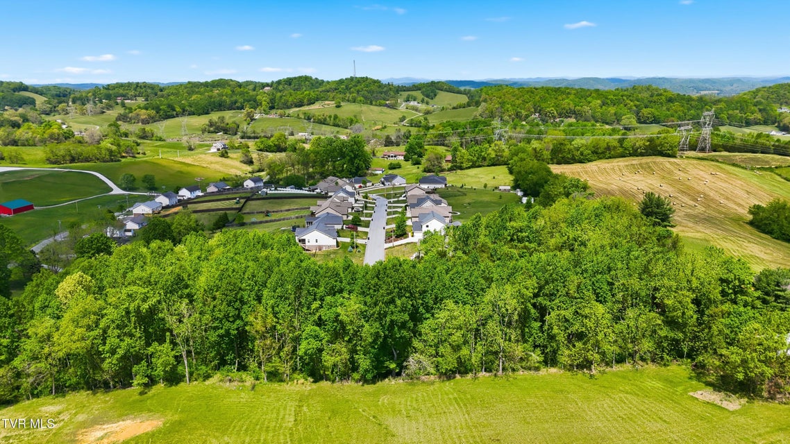 Photo #9: 2445 Poplar Ridge Court