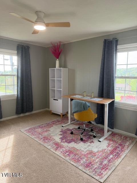 Photo #16: 212 Sperry View Drive