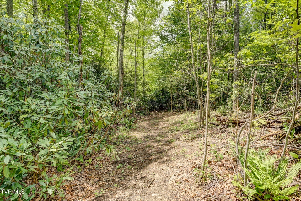 Photo #24: 994 Fairview Road