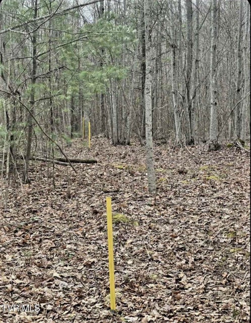 Photo #47: Tbd Deer Track Drive