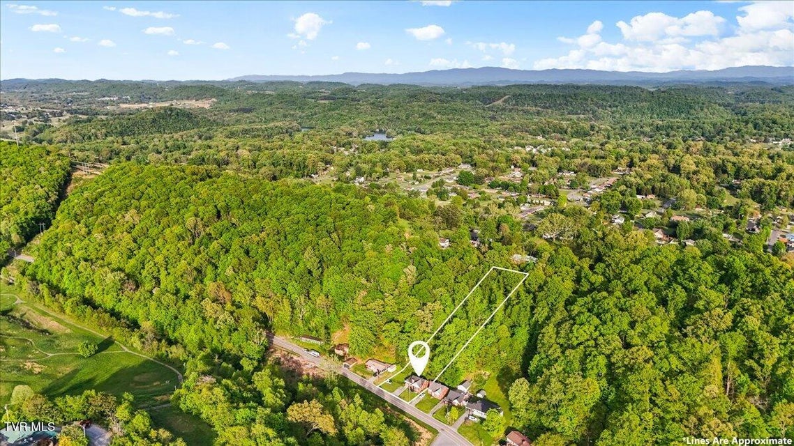 Photo #36: 161 Hemlock Road