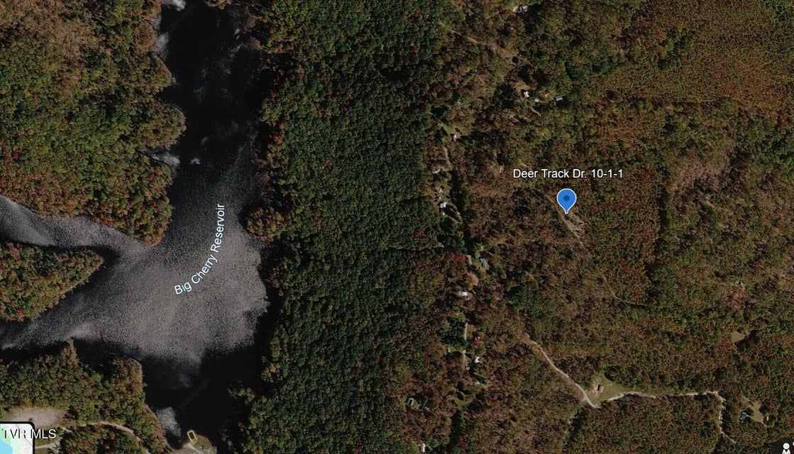 Photo #3: Tbd Deer Track Drive