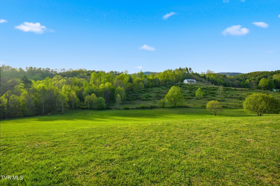 Photo #35: 228 Sunrise Lane