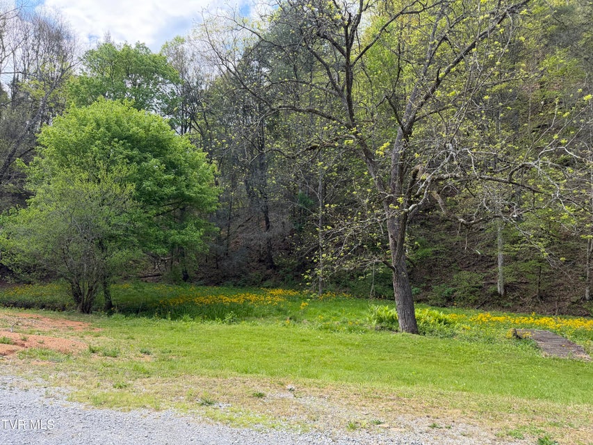 Photo #5: 435 Cripple Creek Road