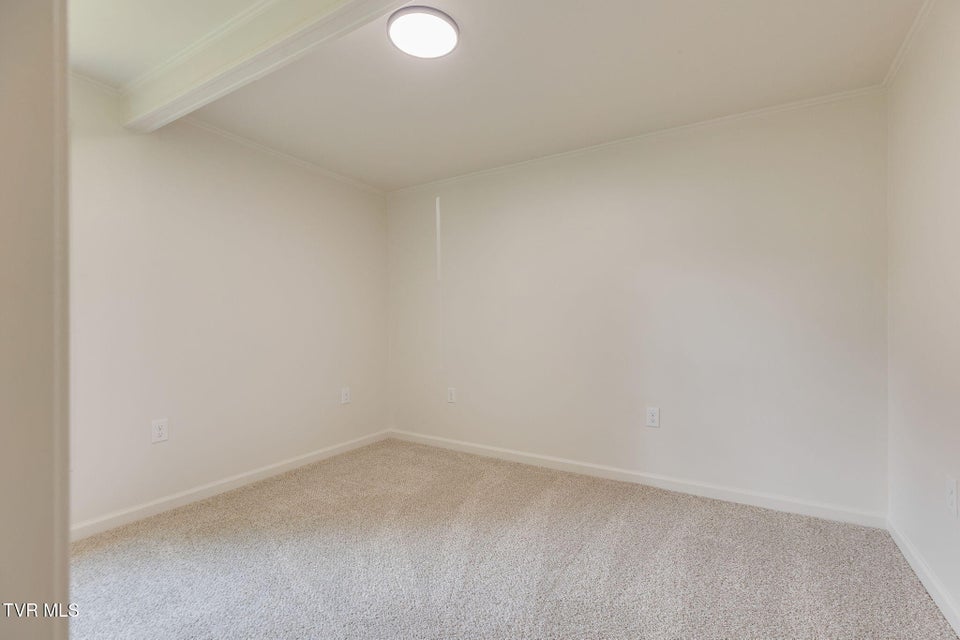 Photo #13: 119 Esther Street