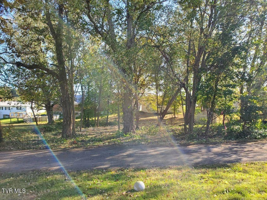 Photo #3: 0 Iris Street