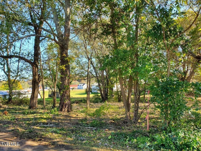 Photo #4: 0 Iris Street