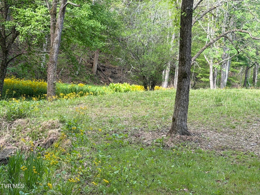 Photo #29: 435 Cripple Creek Road