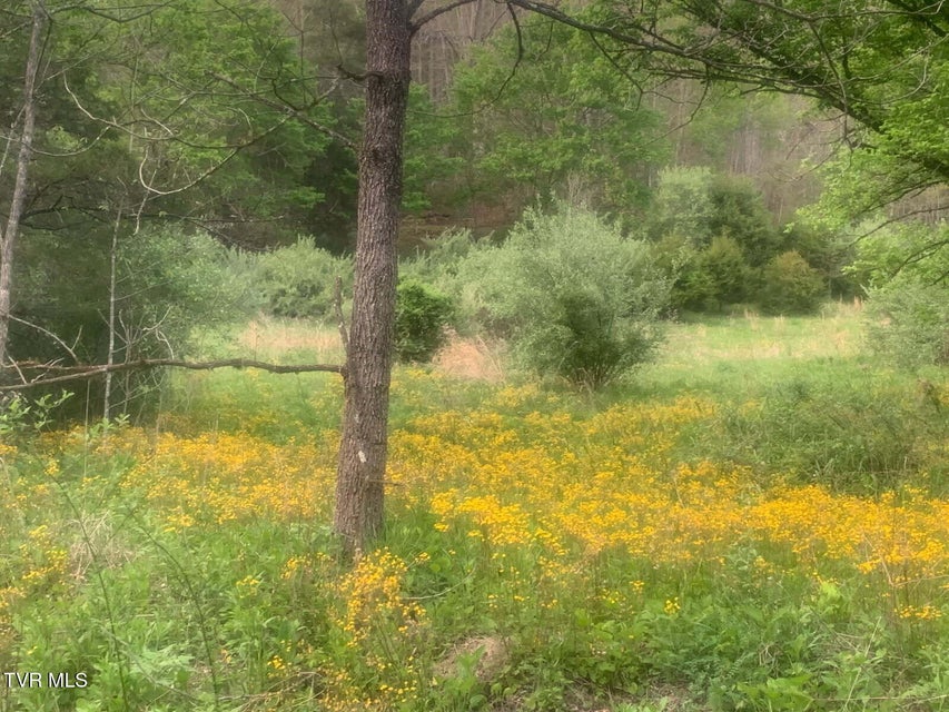 Photo #3: Tbd Osborne Ridge Road