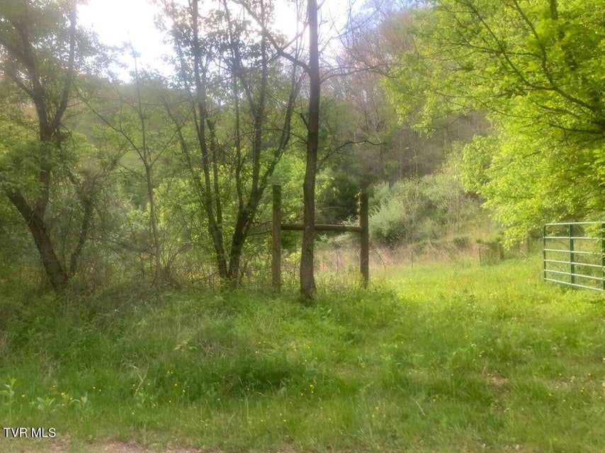 Photo #4: Tbd Osborne Ridge Road