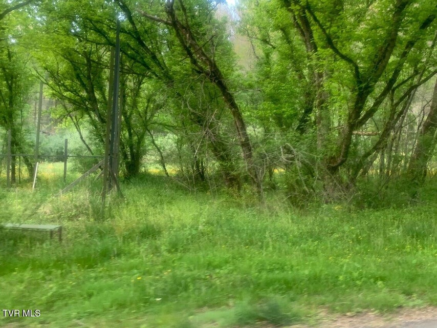 Photo #5: Tbd Osborne Ridge Road