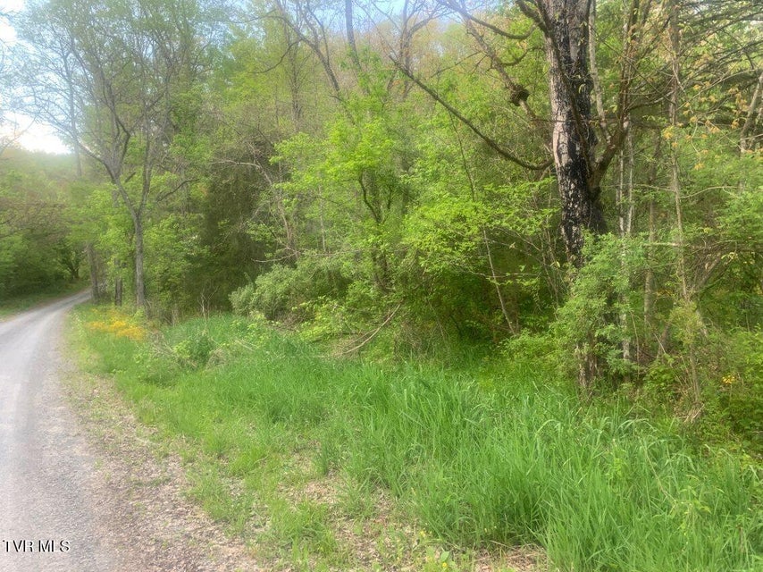 Photo #6: Tbd Osborne Ridge Road