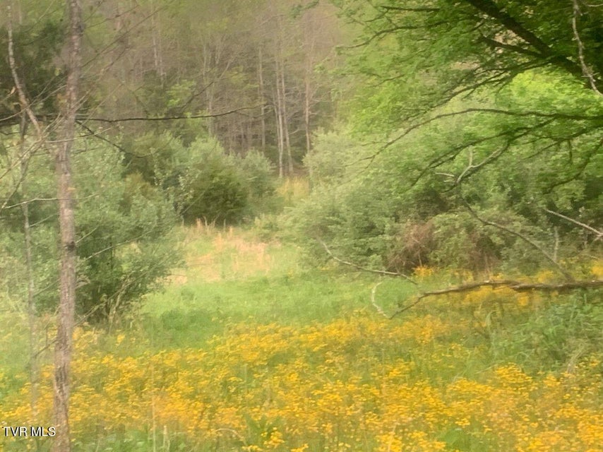 Photo #7: Tbd Osborne Ridge Road