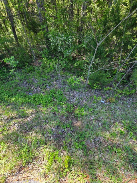 Photo #8: Tbd Summit Drive