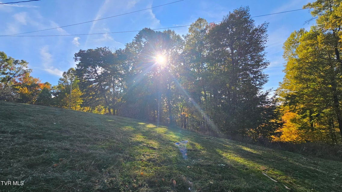 Photo #12: 133 & 181 Forrest View Lane