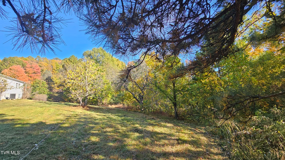 Photo #14: 133 & 181 Forrest View Lane