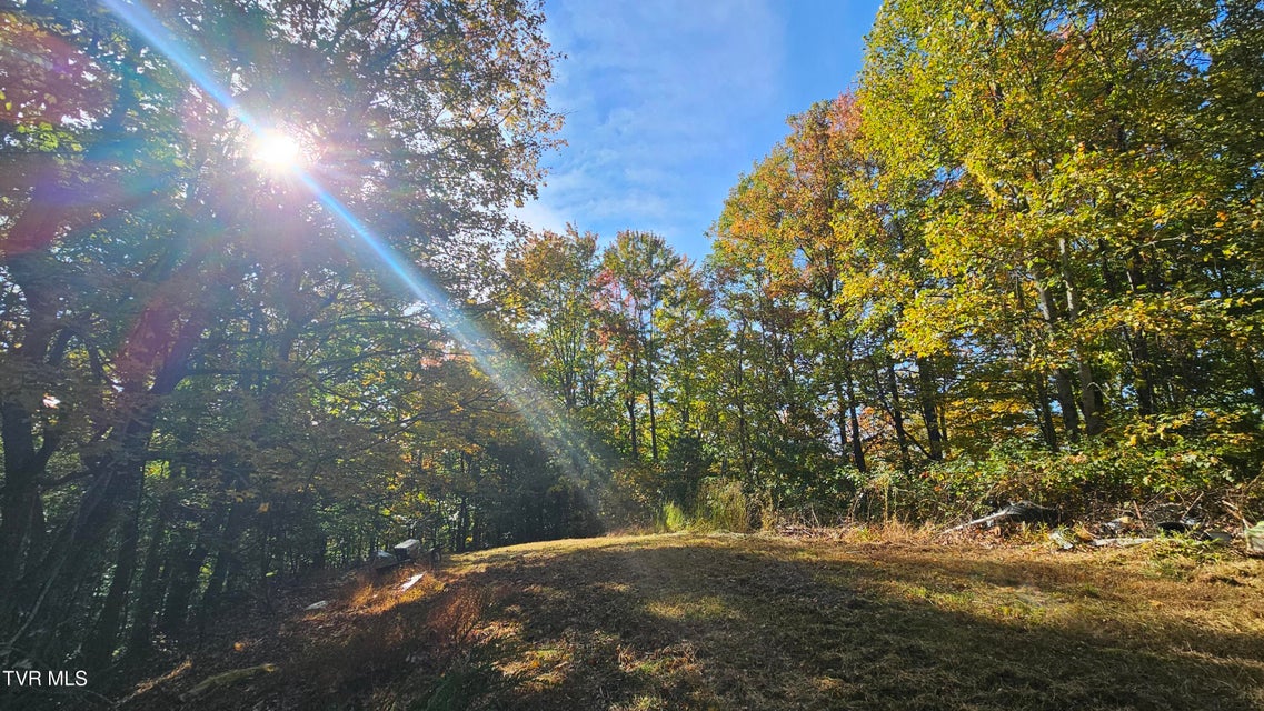 Photo #15: 133 & 181 Forrest View Lane