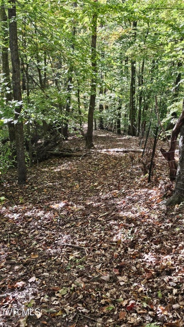 Photo #20: 133 & 181 Forrest View Lane