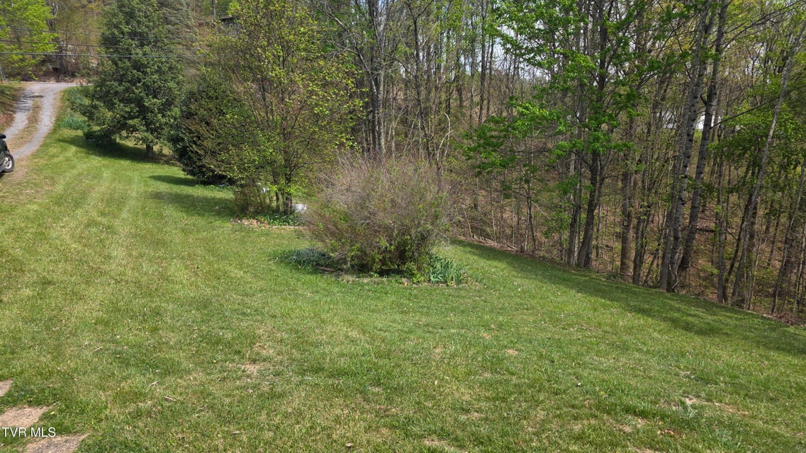 Photo #11: 133 & 181 Forrest View Lane