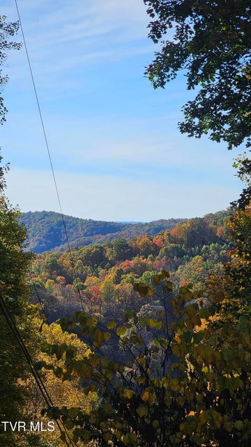 Photo #18: 133 & 181 Forrest View Lane