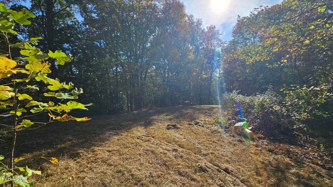 Photo #21: 133 & 181 Forrest View Lane